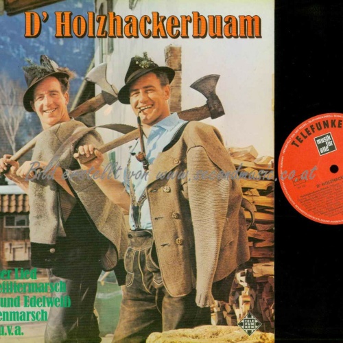 LP-- D' Holzhackerbuam   // NM