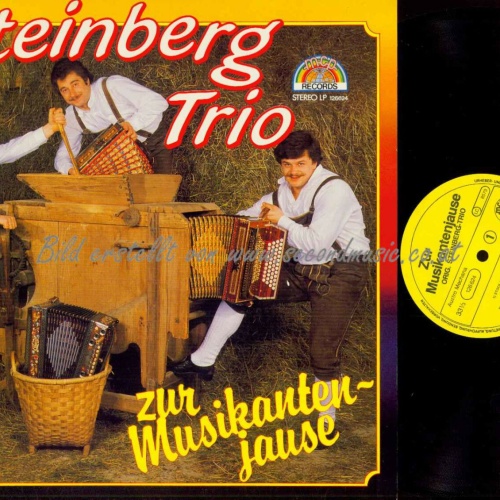 LP--  Steinberg Trio -  zur Musikantenjause  /    NM