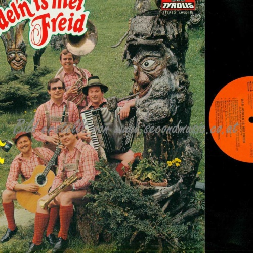 LP--Almrausch-Quintett – Das Jodel'n Is Mei Freid  //  NM