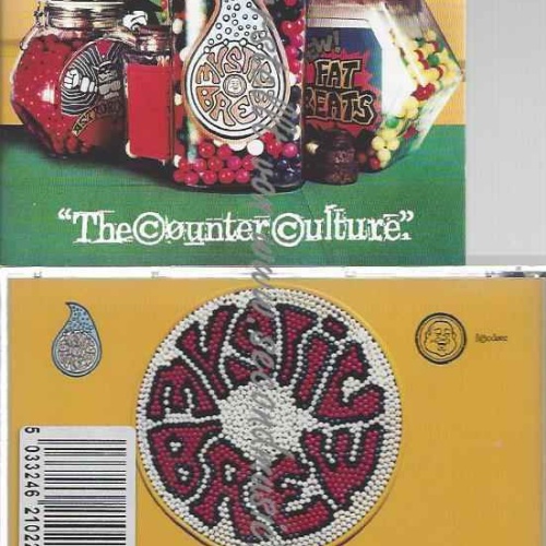 CD--Mystic Brew  --Counter Culture