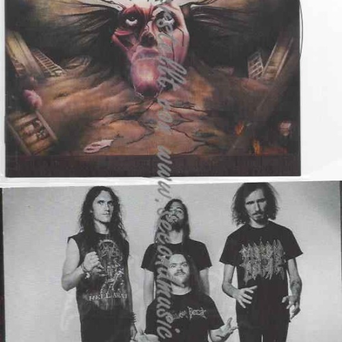 CD--Nervous Decay  --Nervous Decay