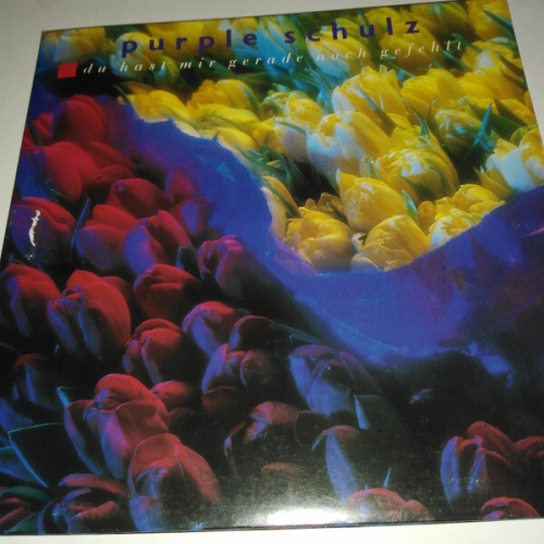 7", Single, Promo, Gat Purple Schulz - Du Hast Mir Gerade Noch Gefehlt