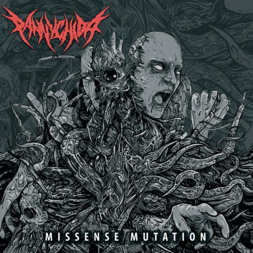 CD, Album, Ltd Pannychida - Missense Mutation