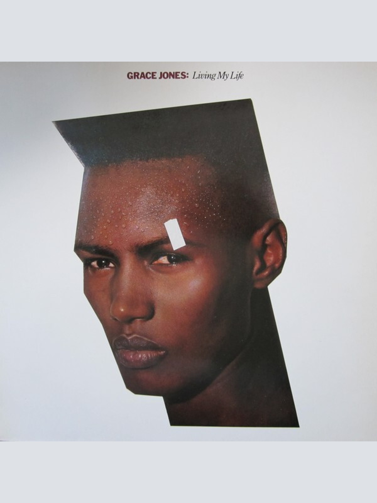LP, Album Grace Jones - Living My Life