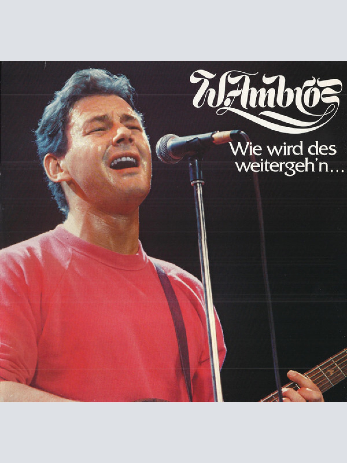 LP, Comp W. Ambros* - Wie Wird Des Weitergeh'n...