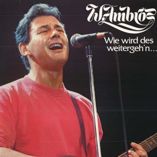 LP, Comp W. Ambros* - Wie Wird Des Weitergeh'n...