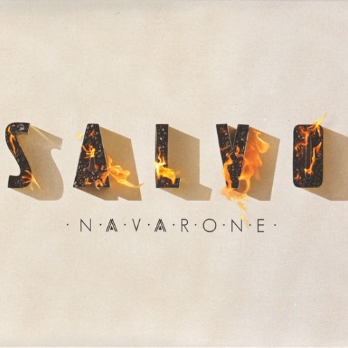 CD, Album, Dig Navarone (2) - Salvo