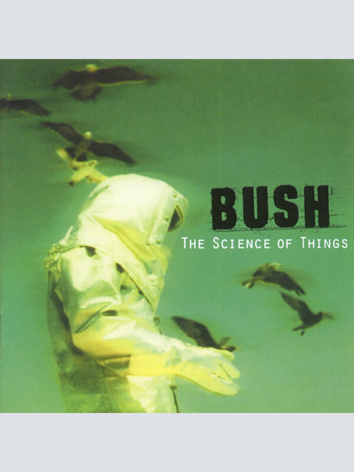 CD, Album, RE Bush - The Science Of Things