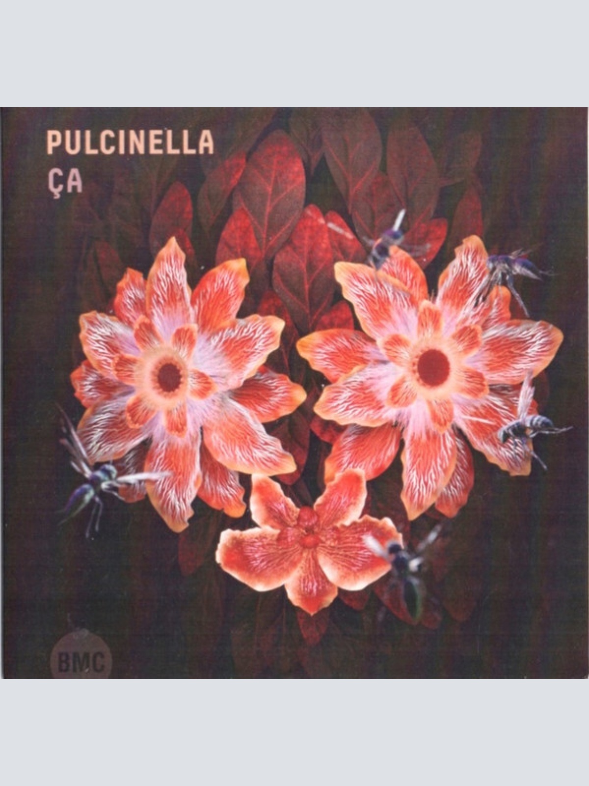 CDr, Album Pulcinella (2) - Ça