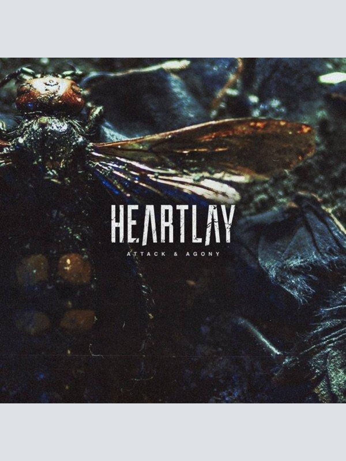 CD, Album, Ltd Heartlay - Attack & Agony