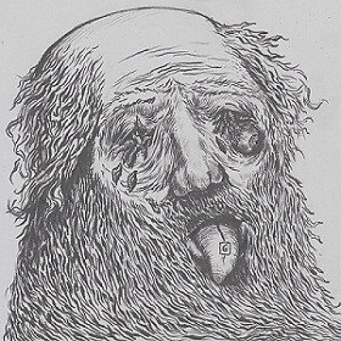 CD, Album Thy Grave - Anhedonia