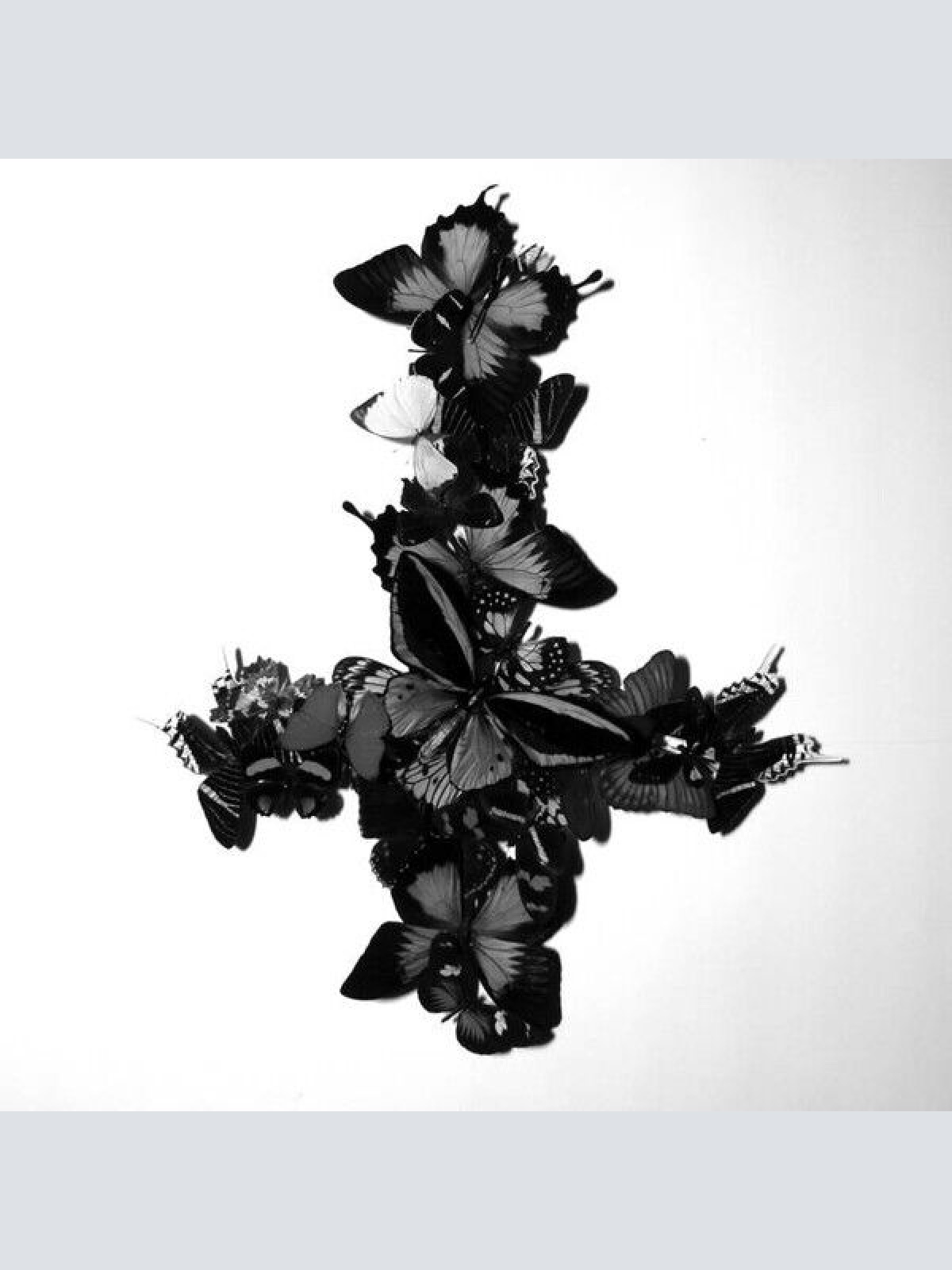 CD, Album Monarch (2) - Never Forever