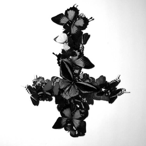 CD, Album Monarch (2) - Never Forever