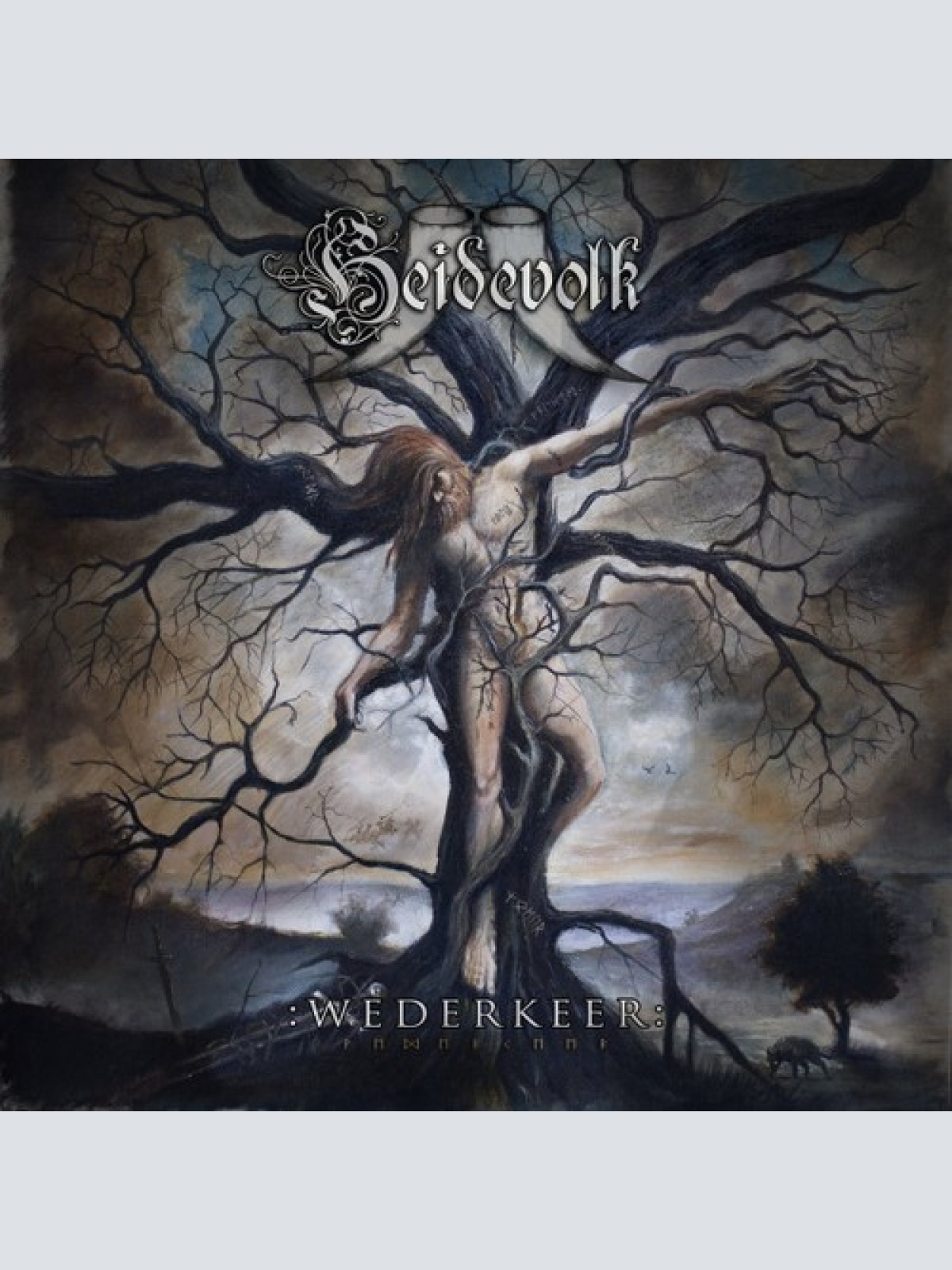 CD, Album Heidevolk - Wederkeer