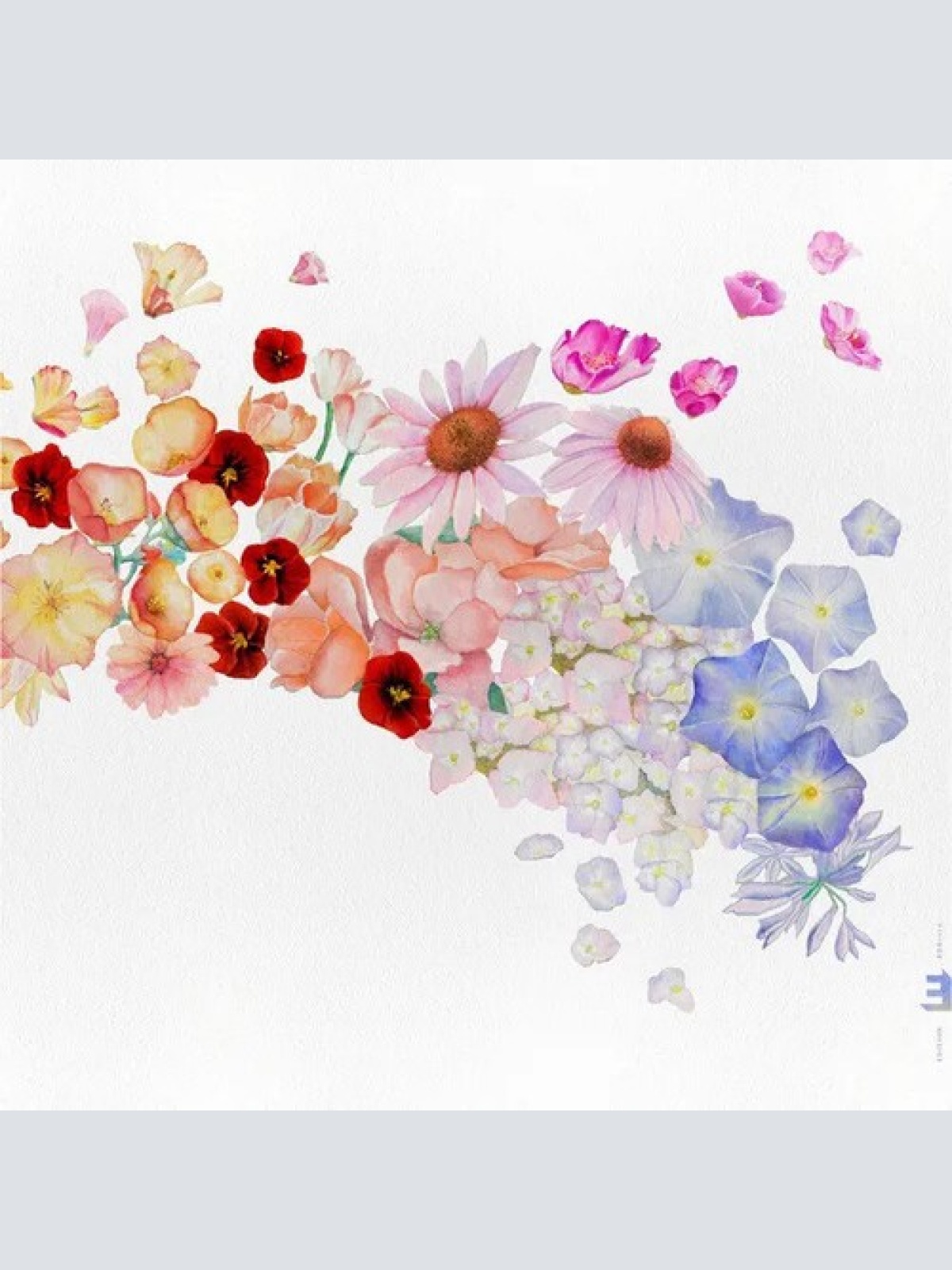 CD, Album Gretchen Parlato - Flor