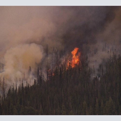 CD, Album Anicon - Exegeses