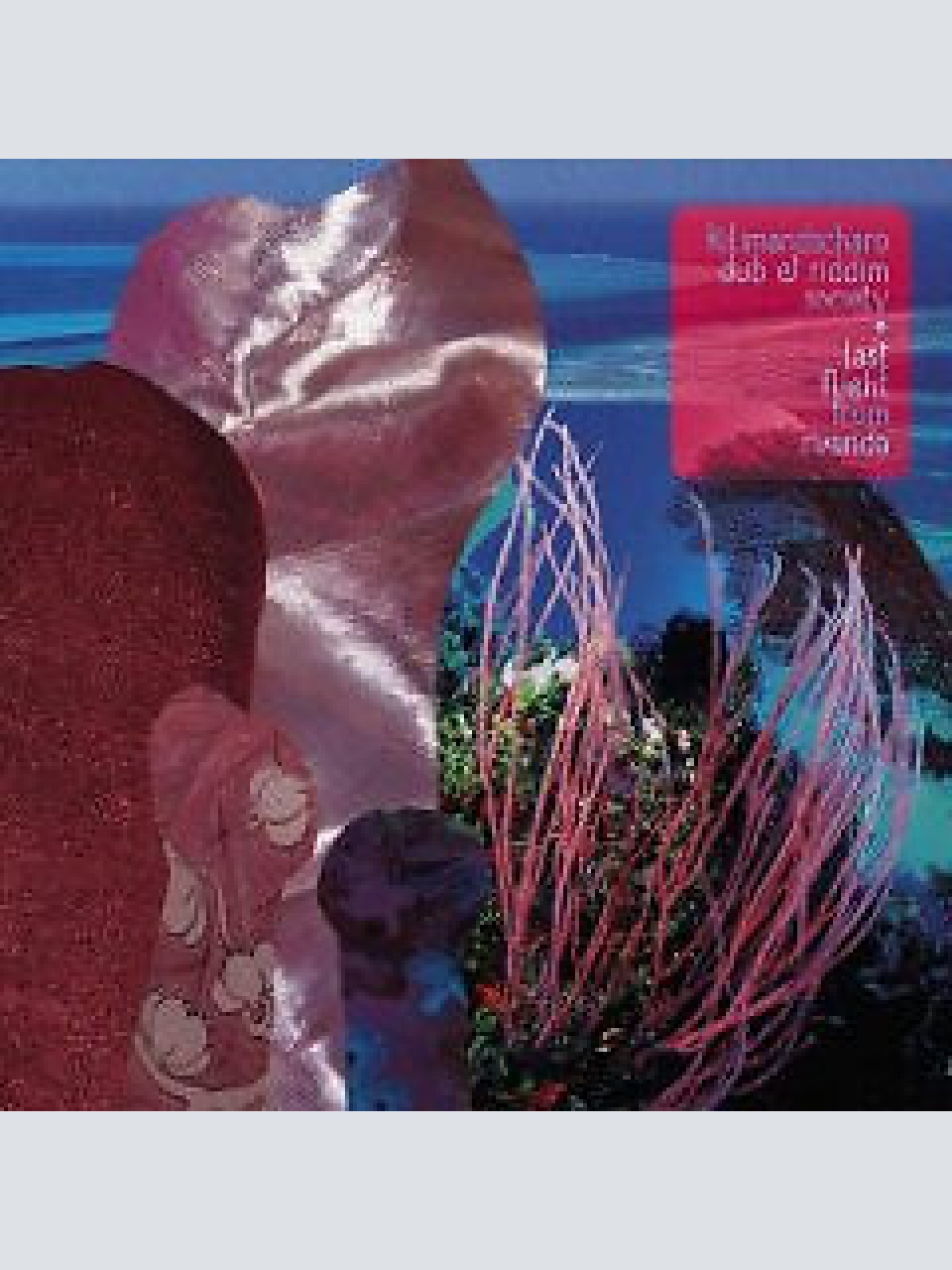 CD, Album, Car Kilimandscharo Dub & Riddim Society - Last Flight From Rwanda