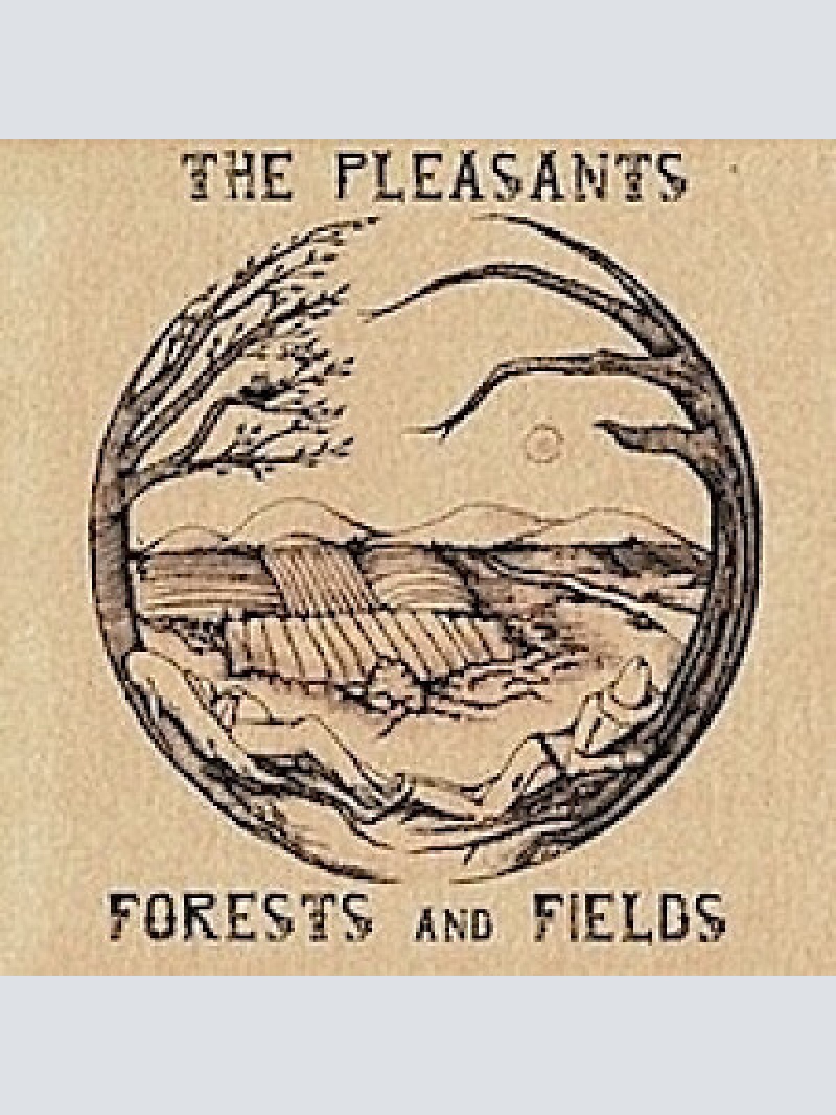 CD, Album The Pleasants - Forests And Fields