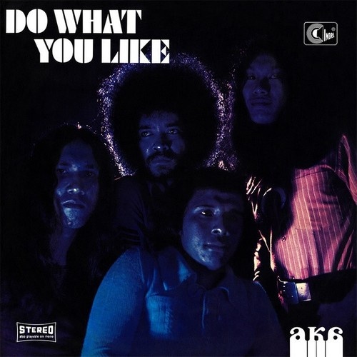 CD, Album, RE AKA (19) - Do What You Like