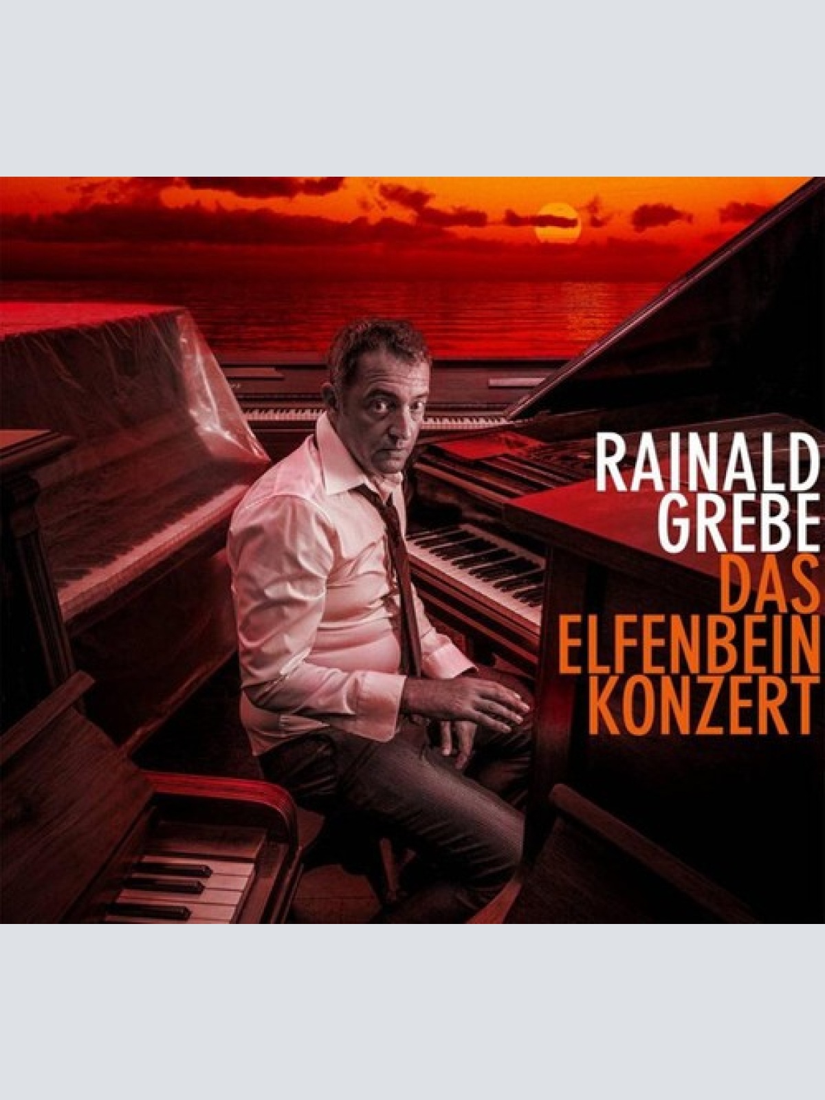 CD, Album Rainald Grebe - Das Elfenbeinkonzert