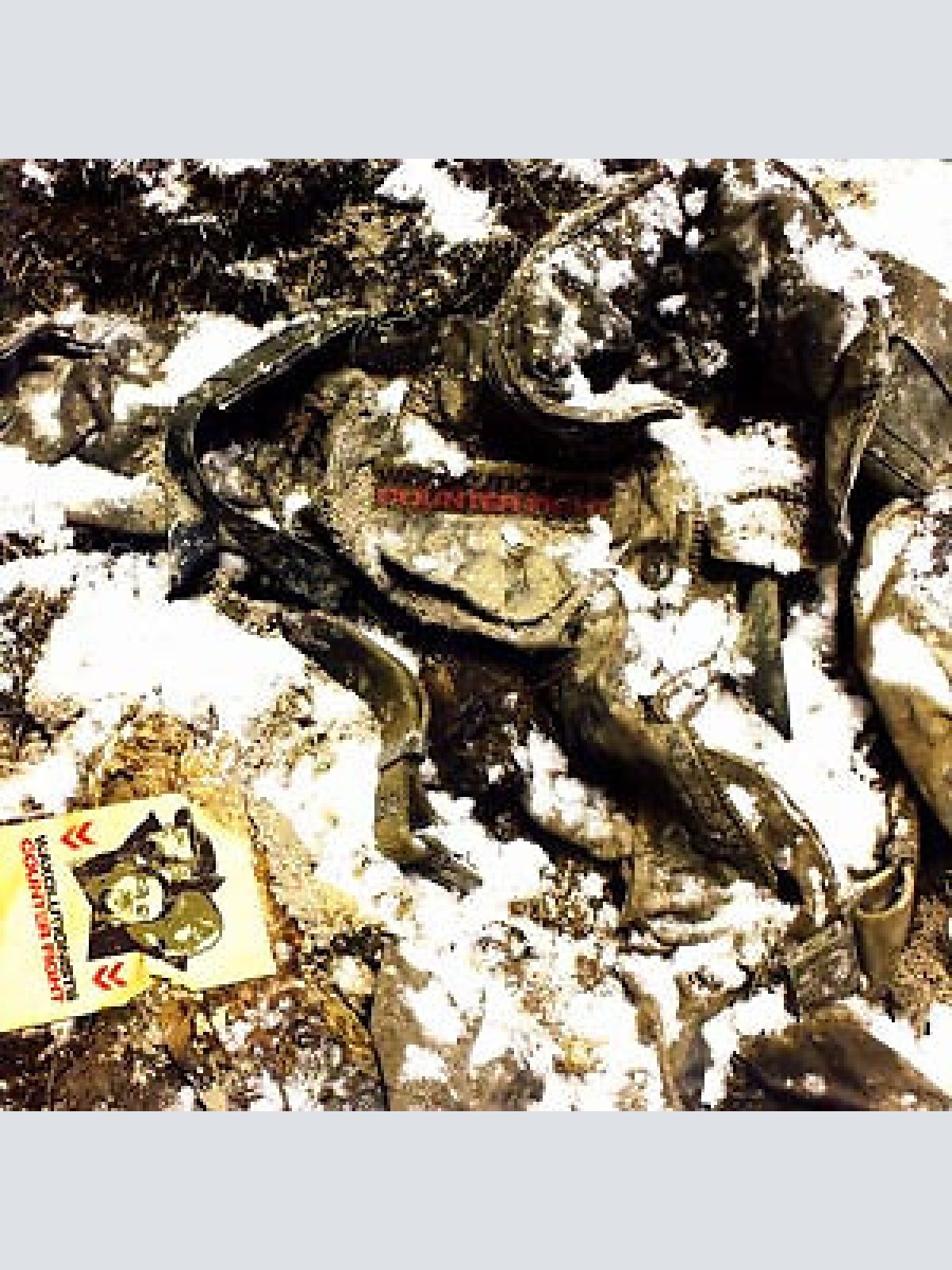 CD, Album Waxolutionists - Counter Fight