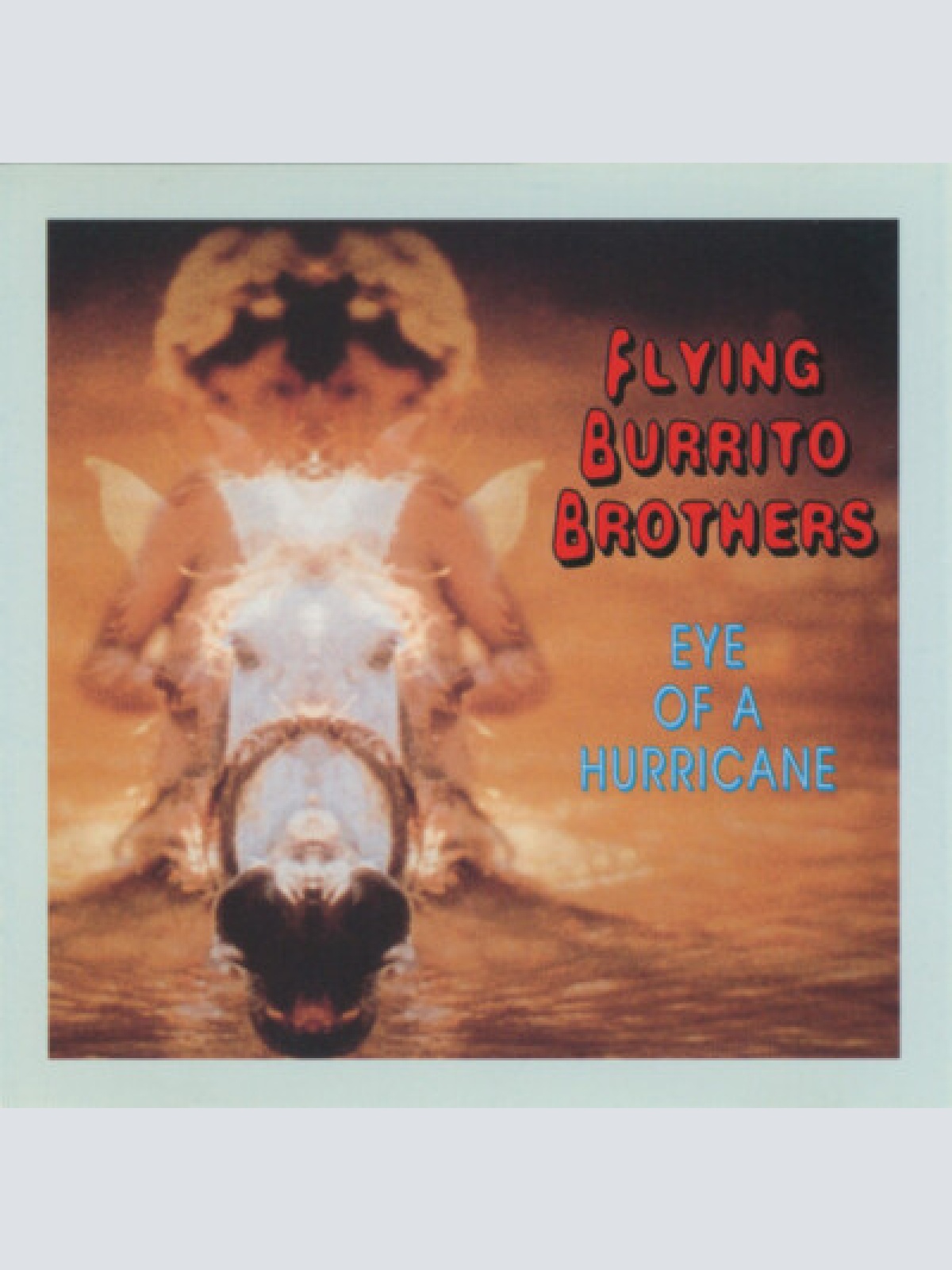 CD, Album Flying Burrito Brothers* - Eye Of A Hurricane