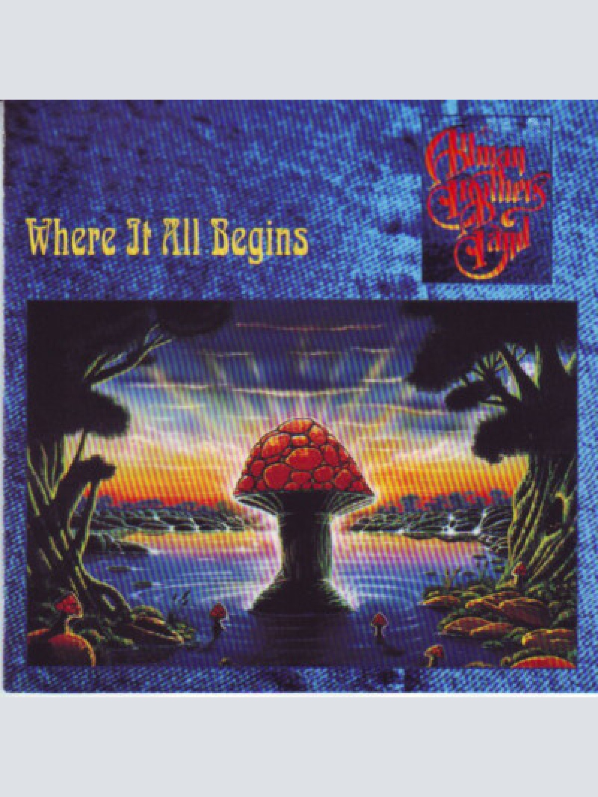 CD, Album, Son The Allman Brothers Band - Where It All Begins