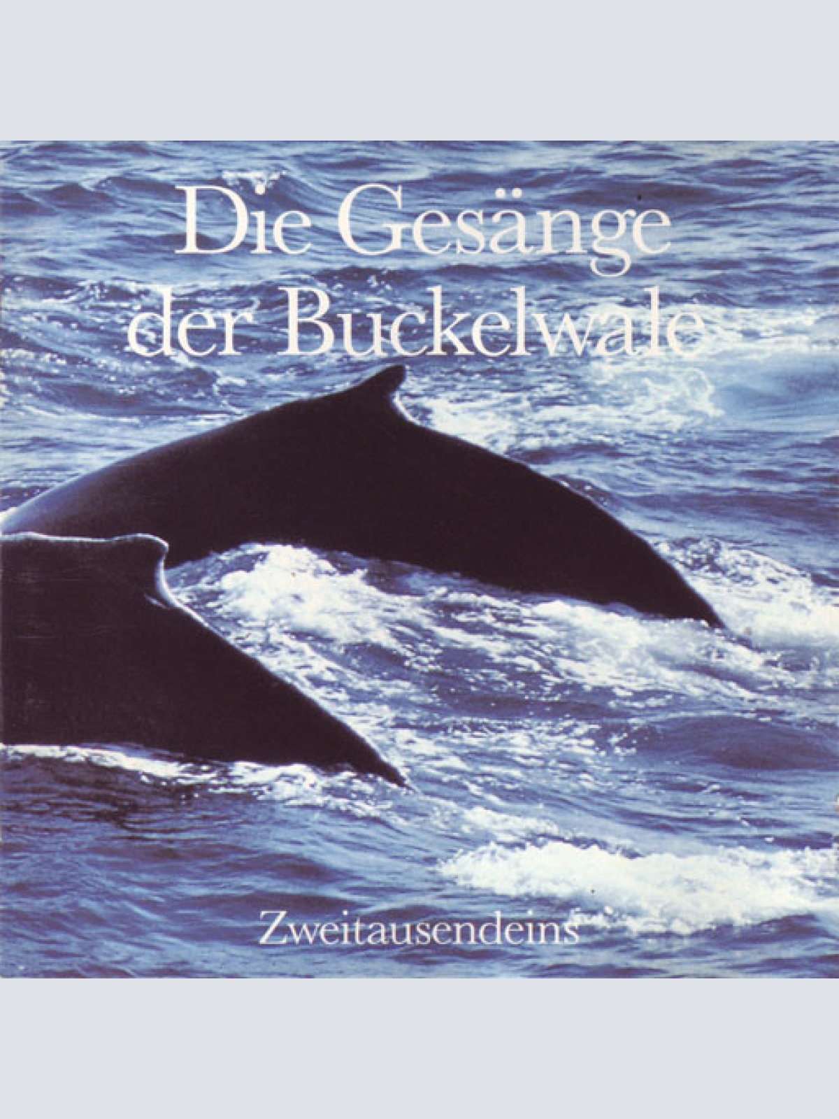 CD, Album, RE, Gat Buckelwale* - Die Gesänge Der Buckelwale