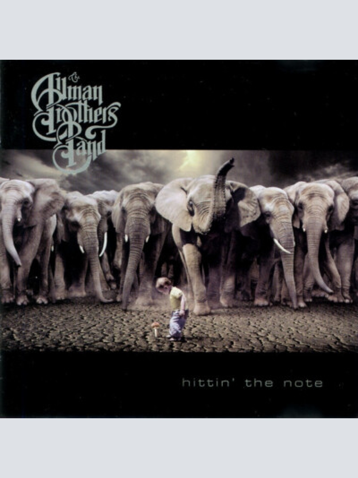 CD, Album, Promo The Allman Brothers Band - Hittin' The Note