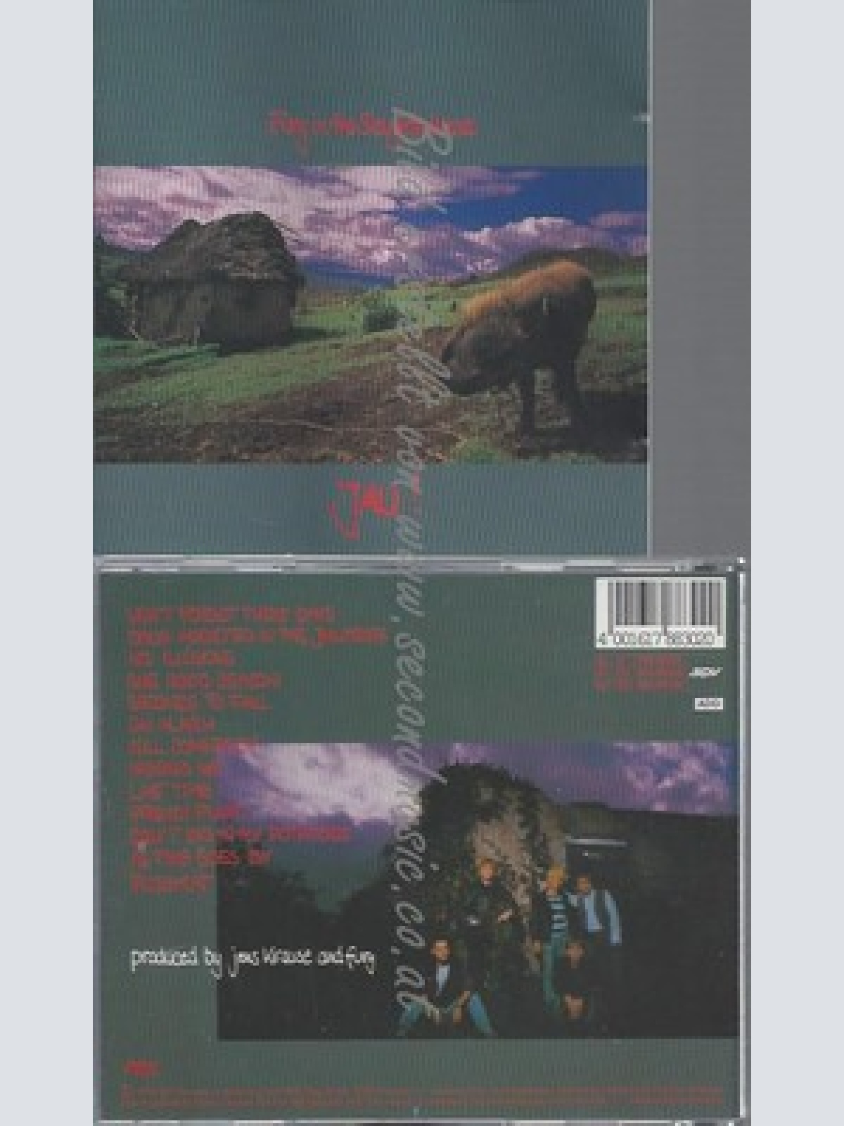 CD--FURY IN THE SLAUGHTERHOUSE -- -- JAU