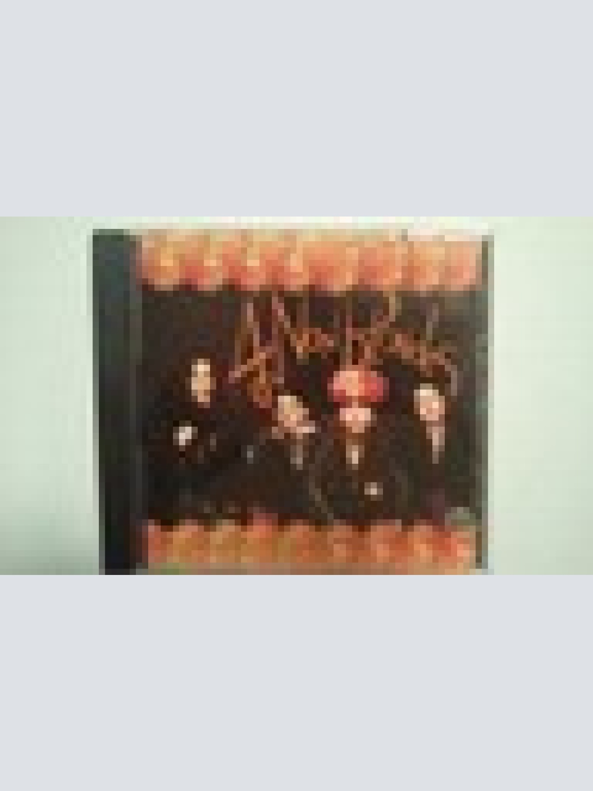 CD-4 NON BLONDES-- BIGGER BETTER FASTER MORE--ALBUM