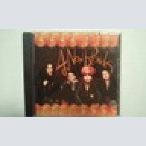 CD-4 NON BLONDES-- BIGGER BETTER FASTER MORE--ALBUM