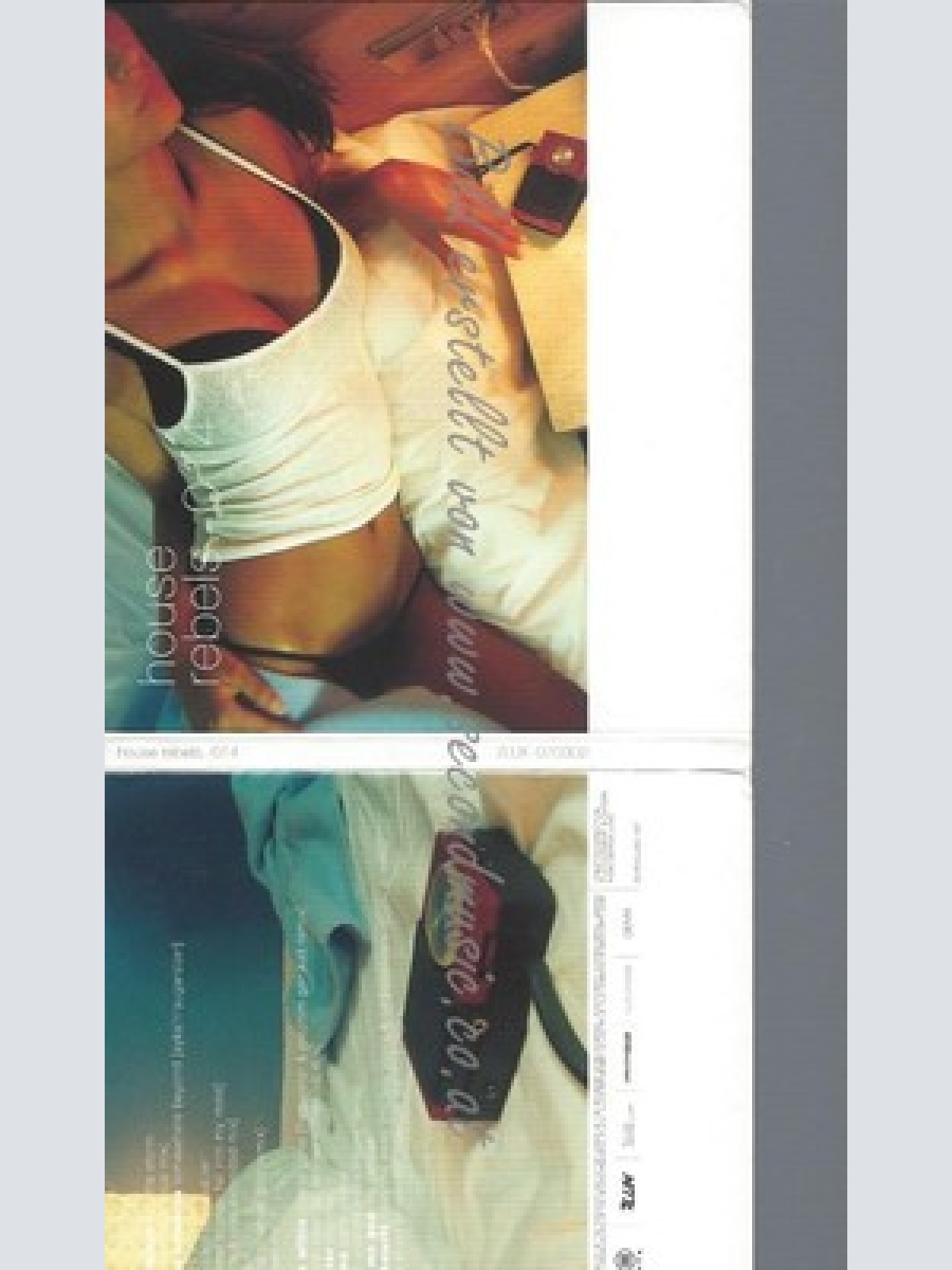 CD--VARIOUS -- -- HOUSE REBELS 014