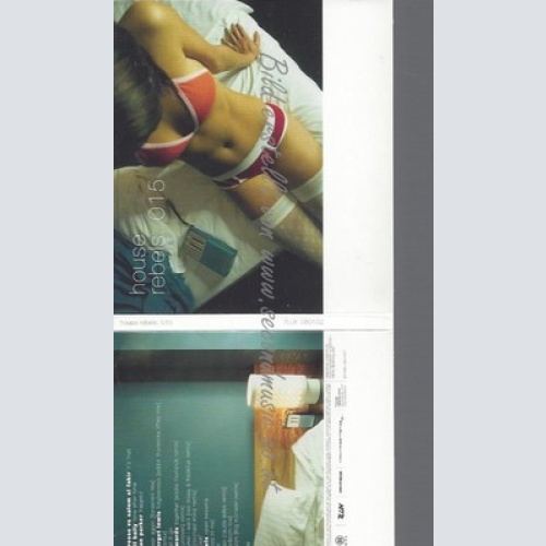 CD--VARIOUS -- -- HOUSE REBELS 015