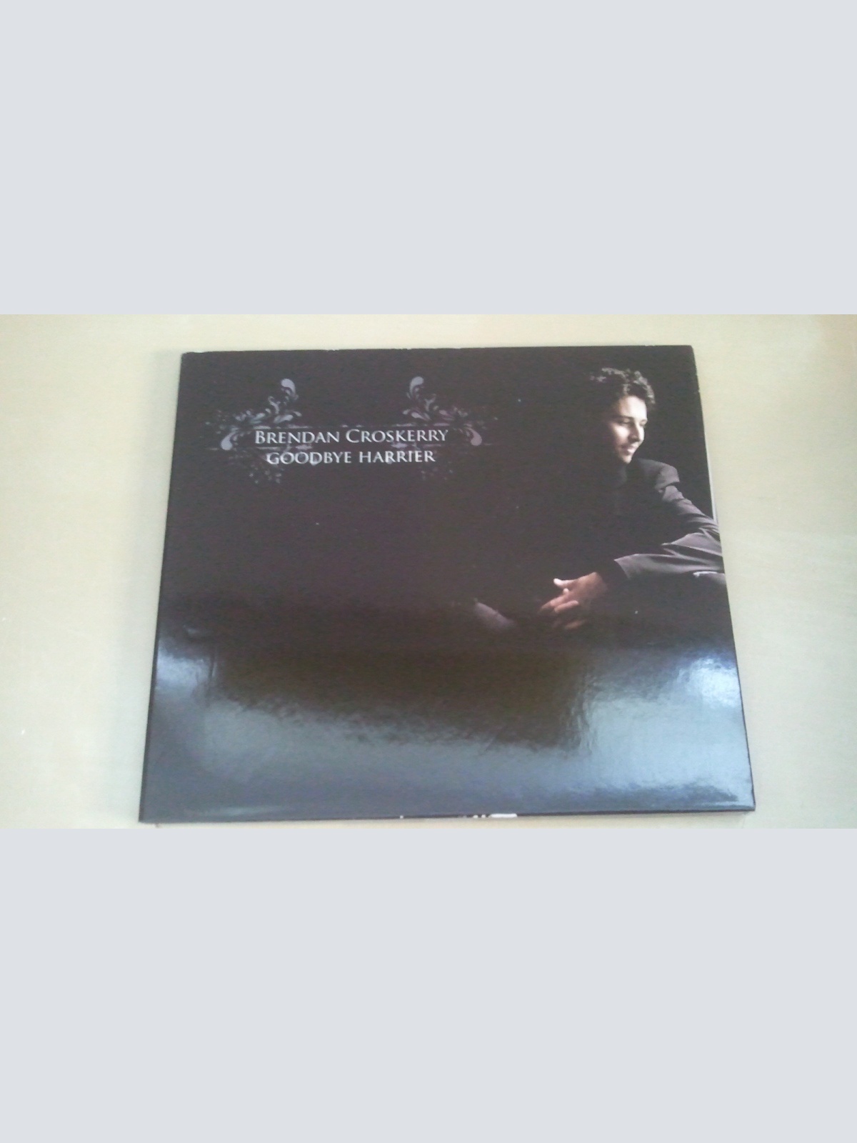 CD--BRENDAN CROSKERRY--GOODBYE HARRIER--DIGI--ALBUM
