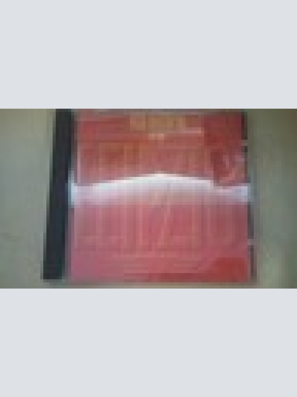 CD--PETER MAFFAY--LEIPZIG 90-- ---ALBUM