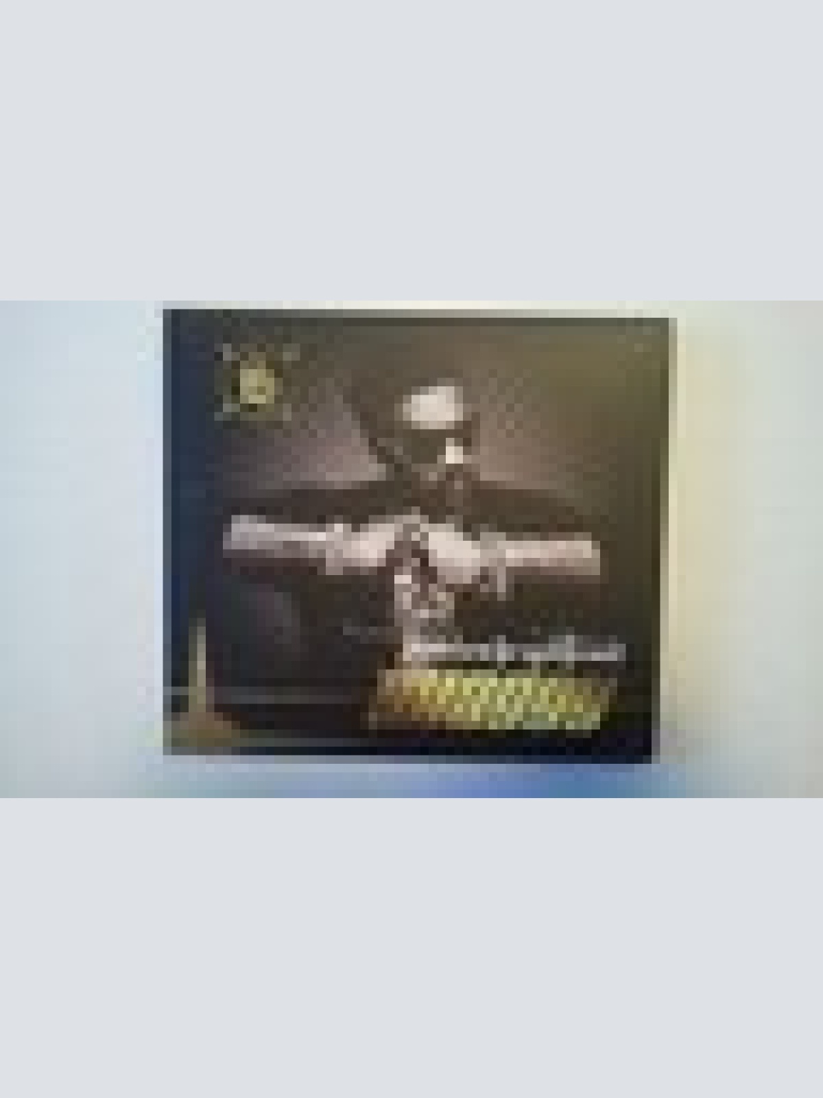 CD-- SHAGGY --INTOXICATION --ALBUM