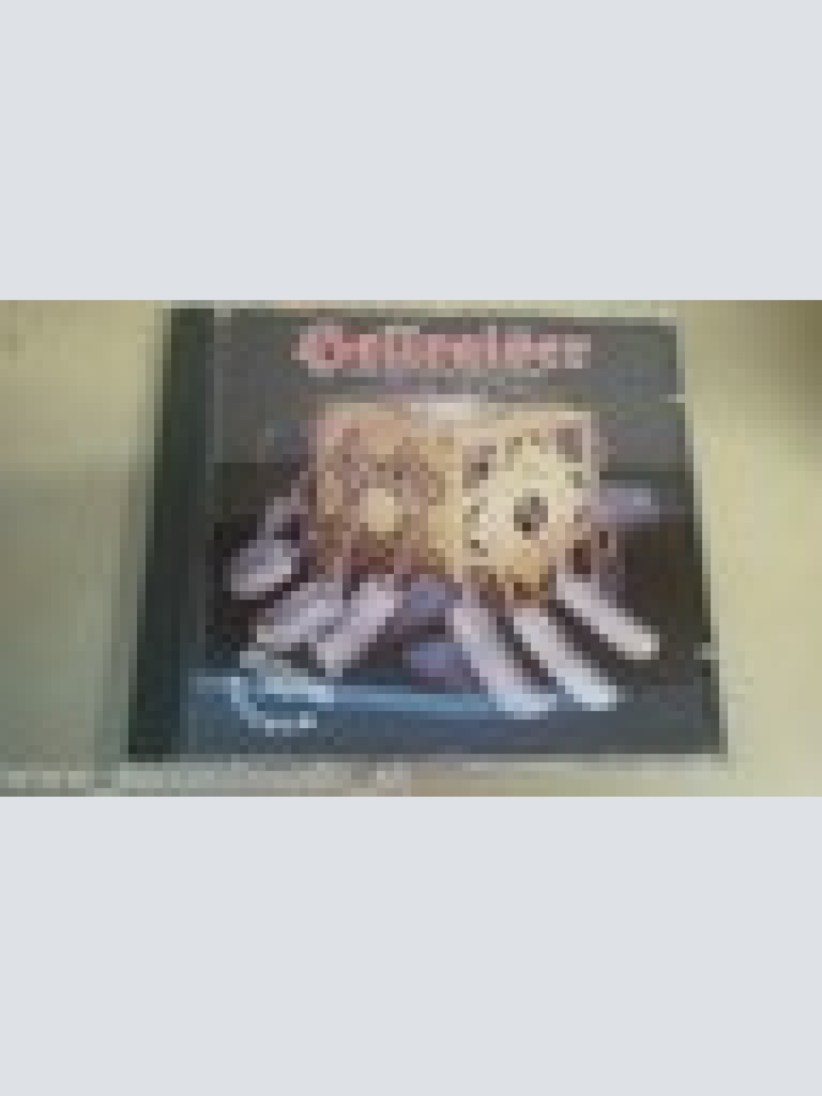 CD--HELLRAISER--THE SECOND CHAPTER------ALBUM