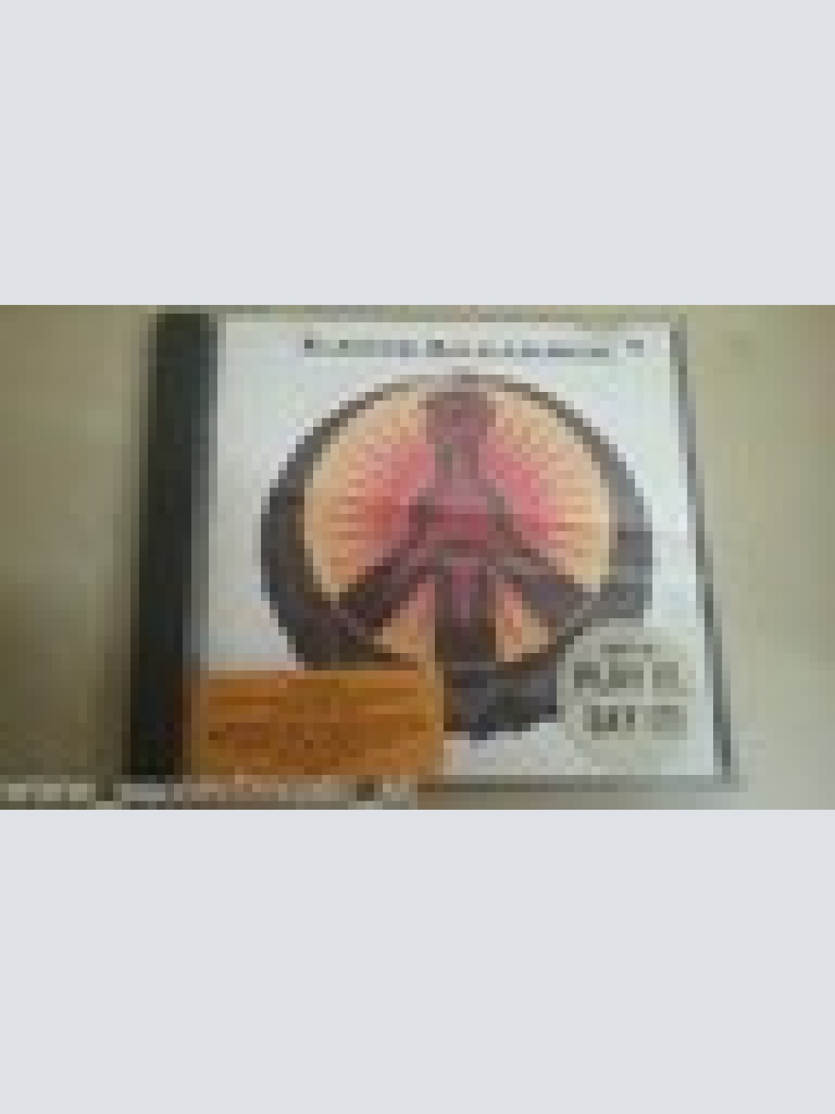 CD--LATIN ALIANCE--SAME ---ALBUM