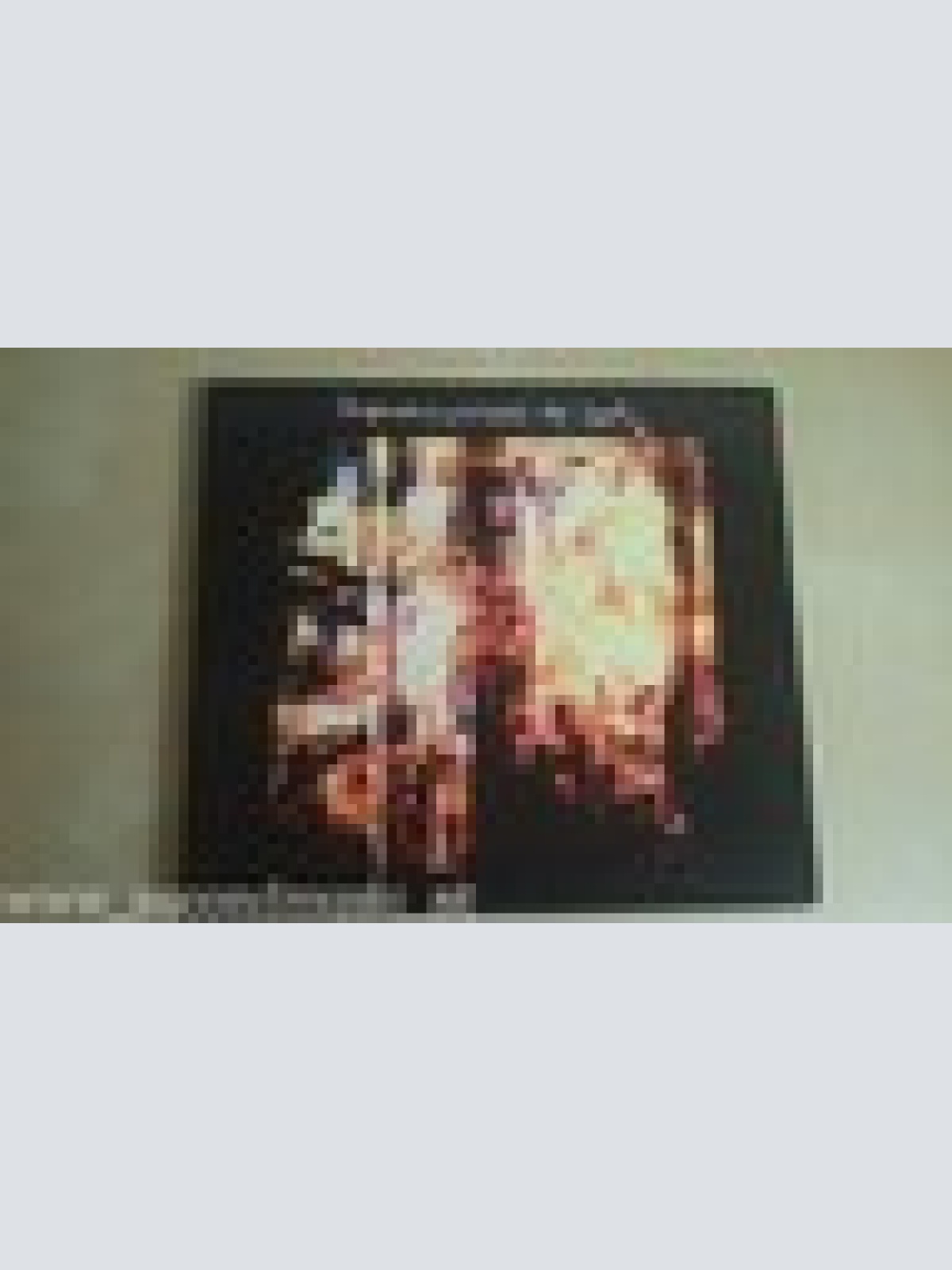 CD--RENAISSANCE OF FOOLS--FEAR HOPE & FRUSTRATION --DIGI  -ALBUM