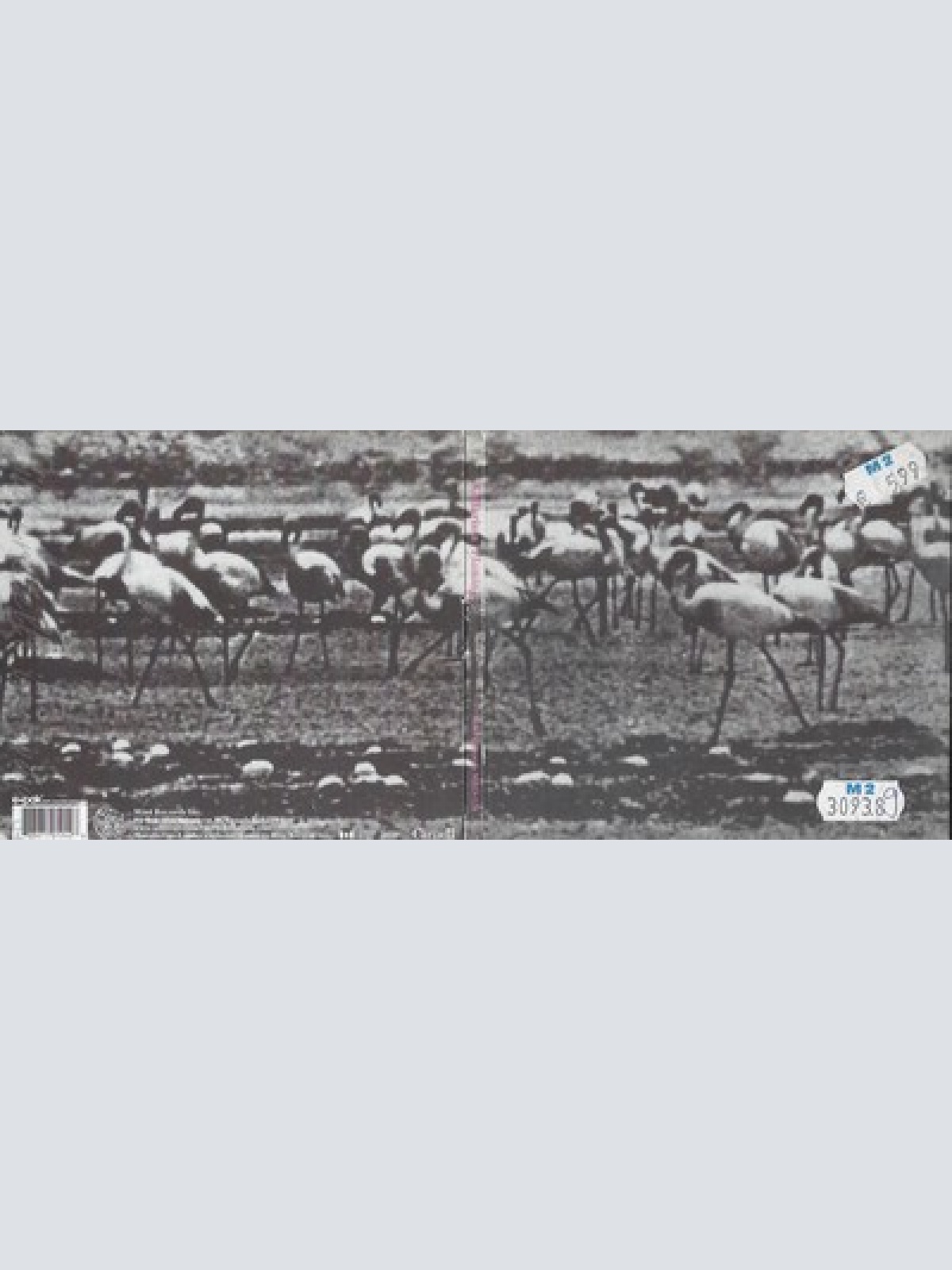 CD--KELLARISSA -- -- FLAMINGO