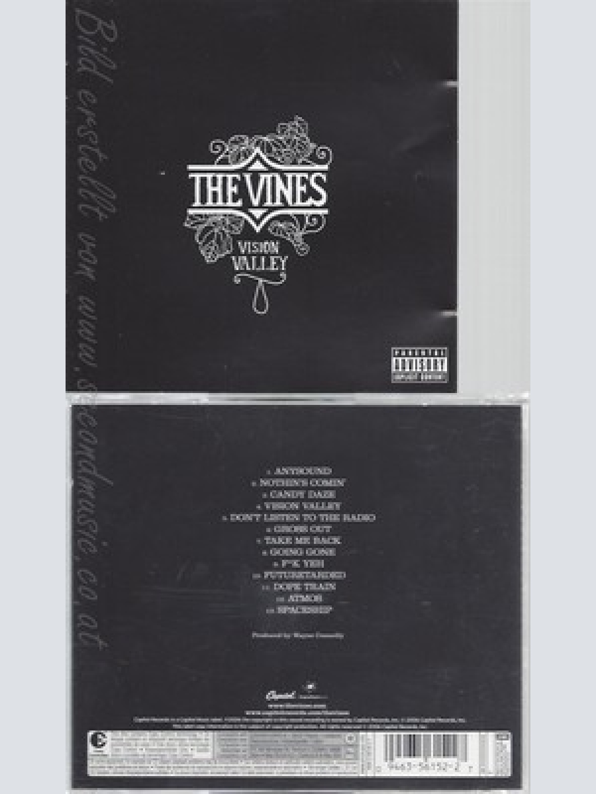 CD--THE VINES -- --PROTECTED CD -- VISION VALLEY