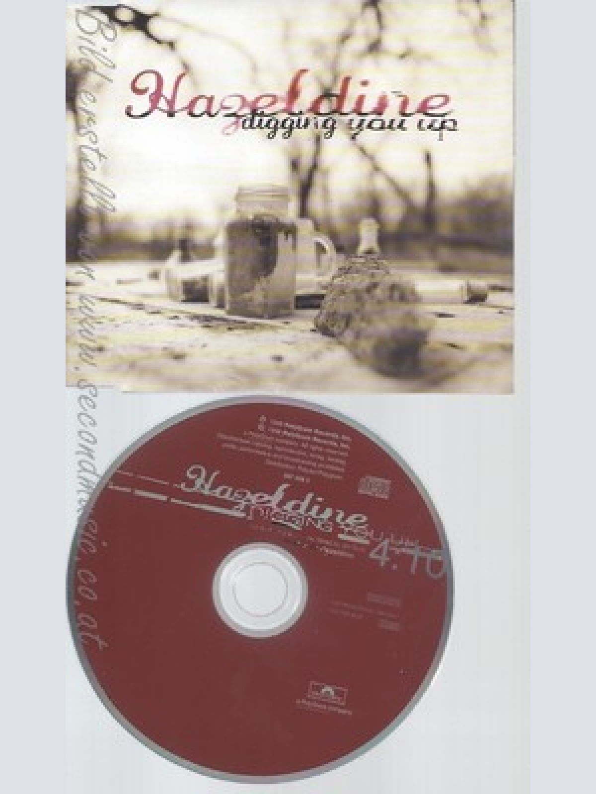 CD--HAZELDINE--DIGGING YOU UP--PROMO