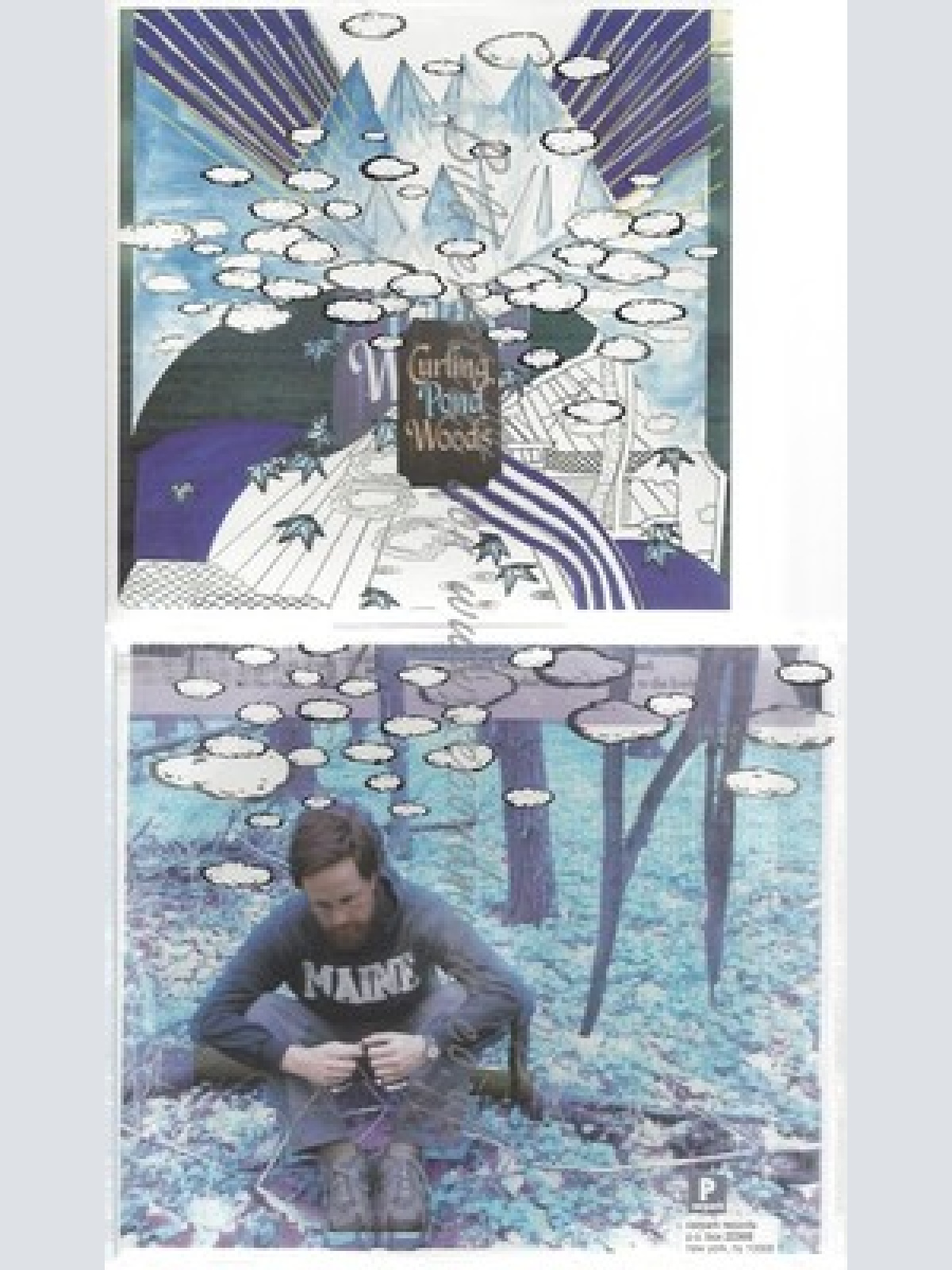 CD--GREG DAVIS -- -- CURLING POND WOODS