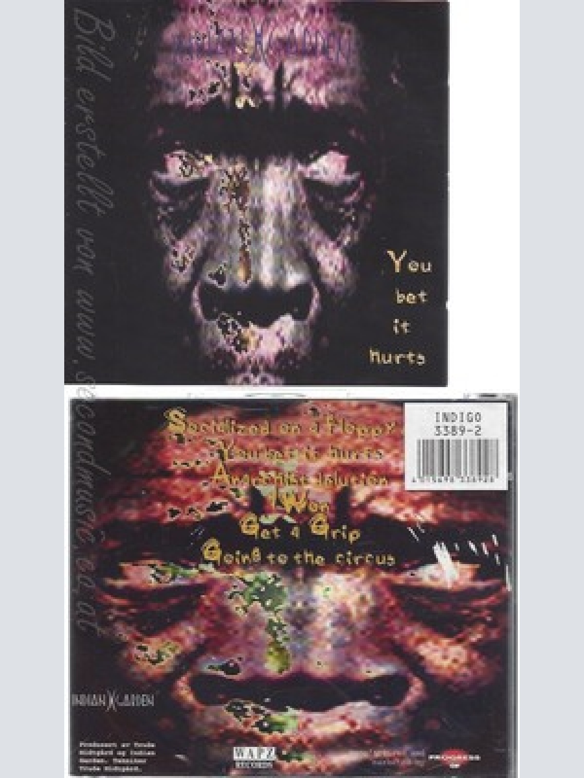 CD--INDIAN GARDEN -- -- YOU BET IT HURTS