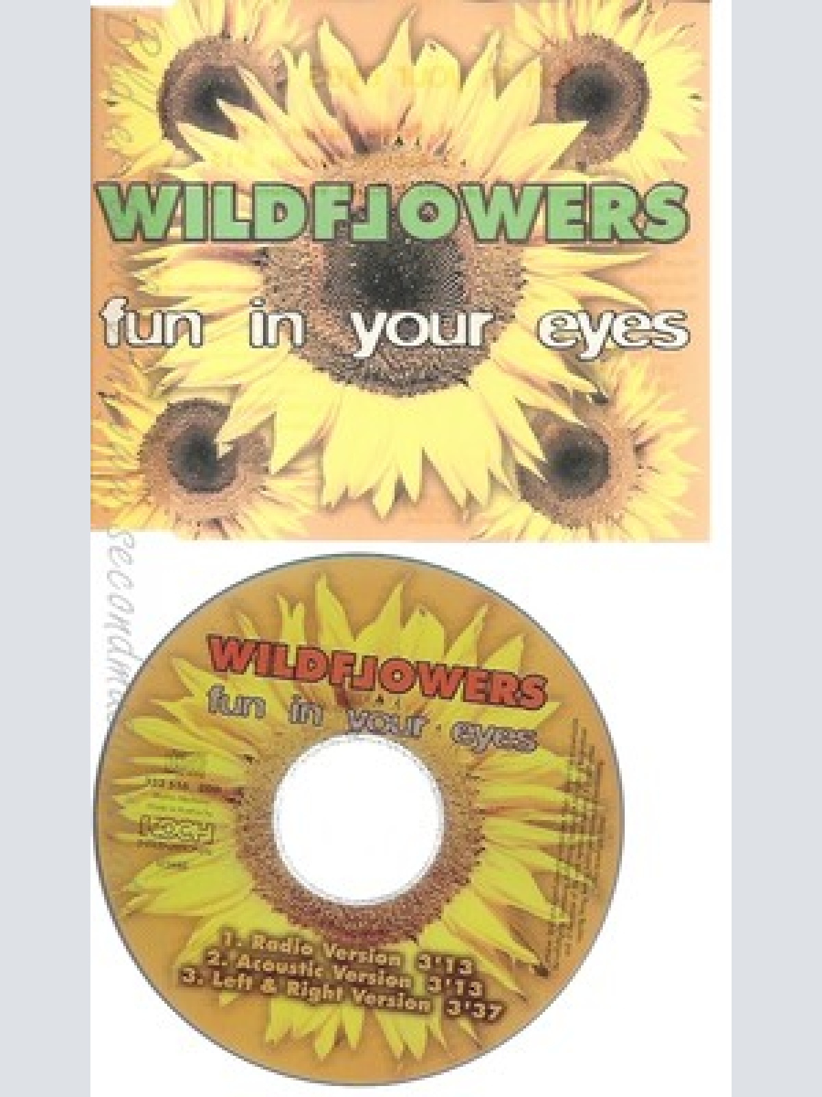 CD--WILDFLOWERS -- - SINGLE -- FUN IN YOUR EYES