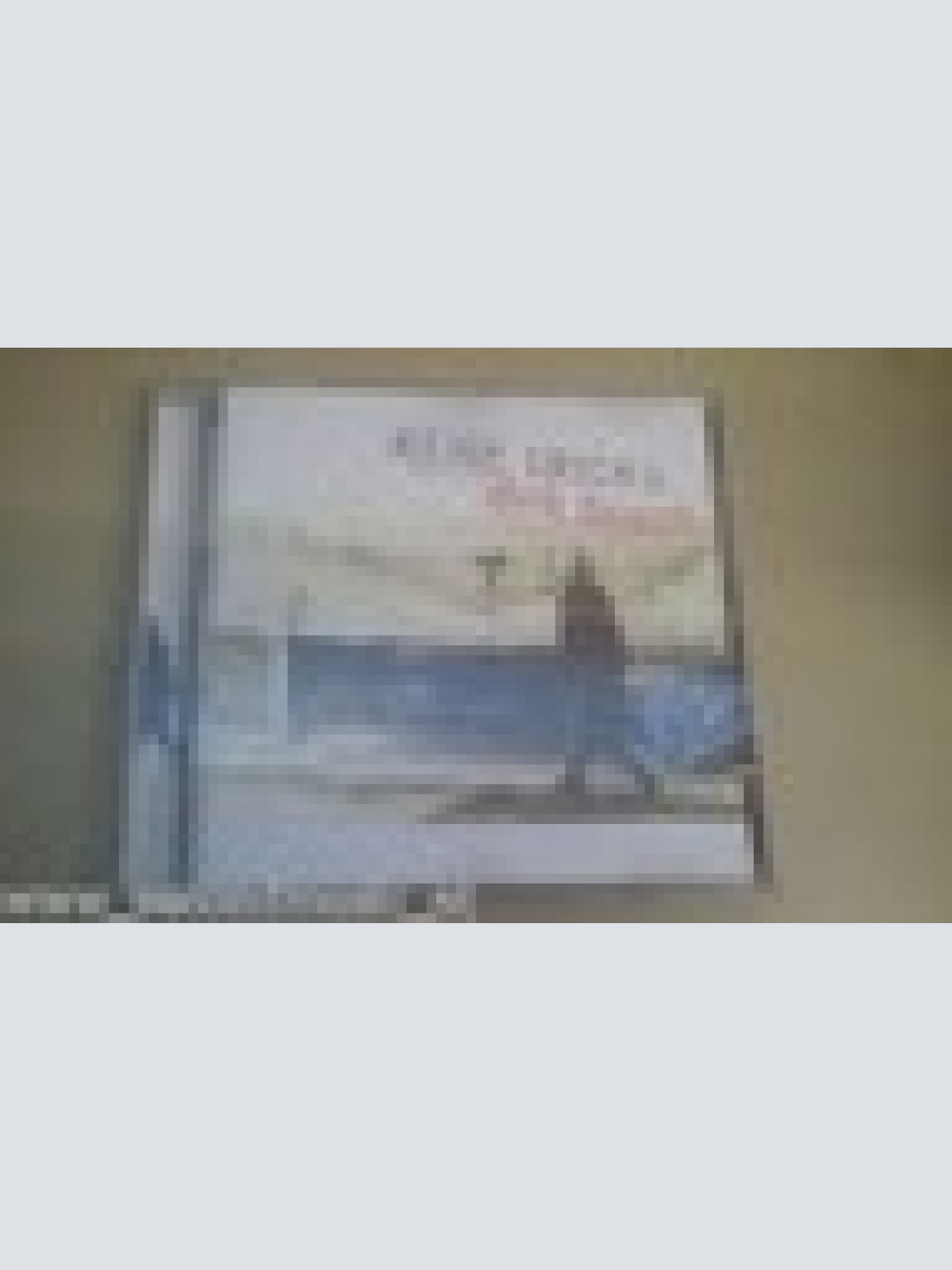 CD--DIRK BUSCH--KEINE TRICKS ---- -ALBUM