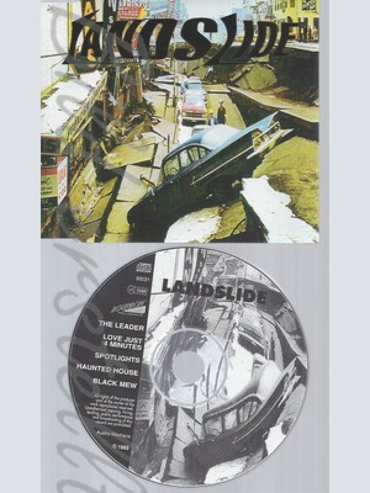 CD--LANDSLIDE --- THE LEADER