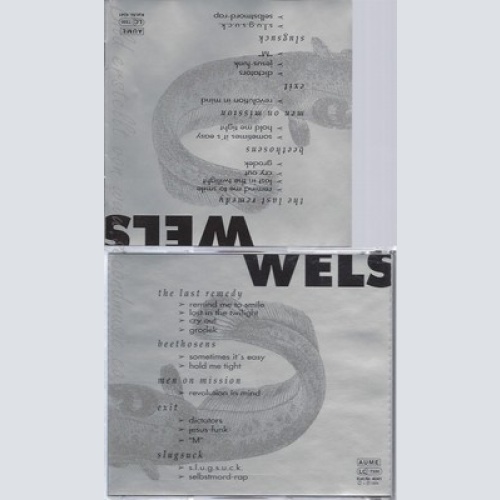 CD--WELS--THE LAST REMEDY