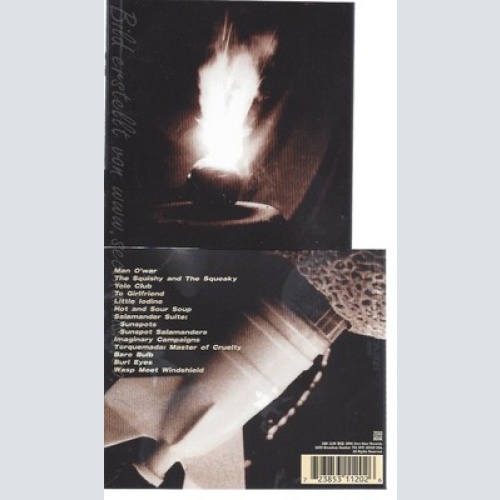 CD--BEATRICE NINE--LITTLE STARS HUNG UPSIDE DOWN